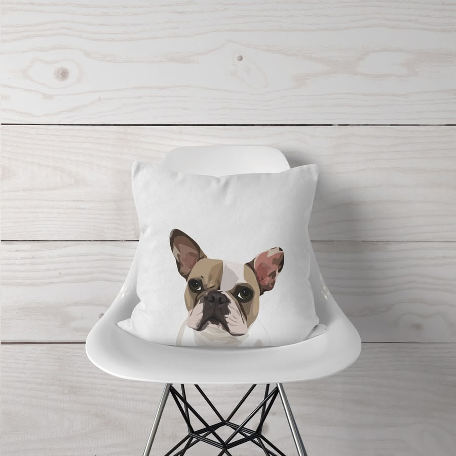 Almohada decorativa