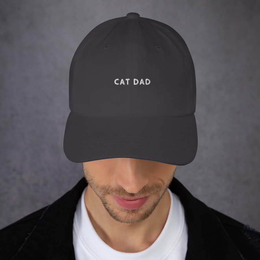 Sombrero de Papá Gato