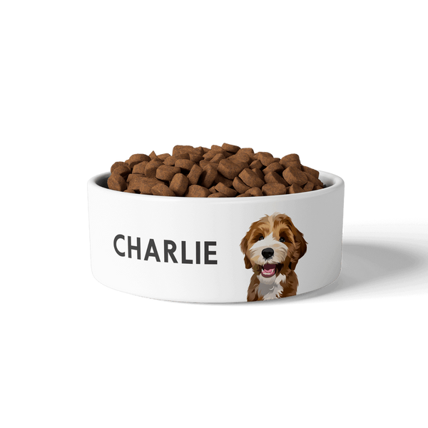Plato de comer personalizado para mascotas