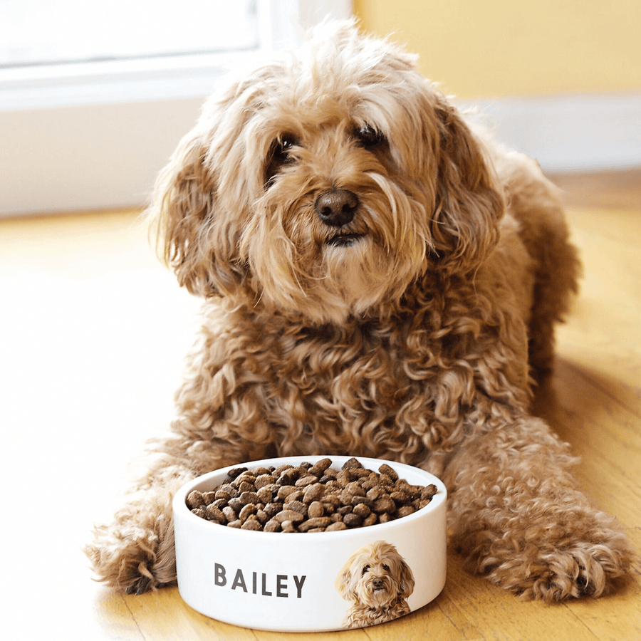 Plato de comer personalizado para mascotas