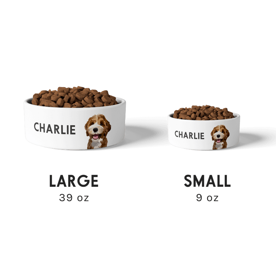Plato de comer personalizado para mascotas