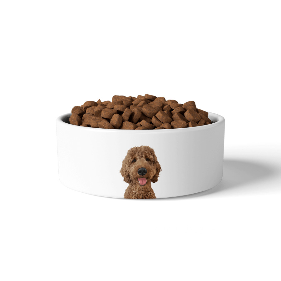 Plato de comer personalizado para mascotas