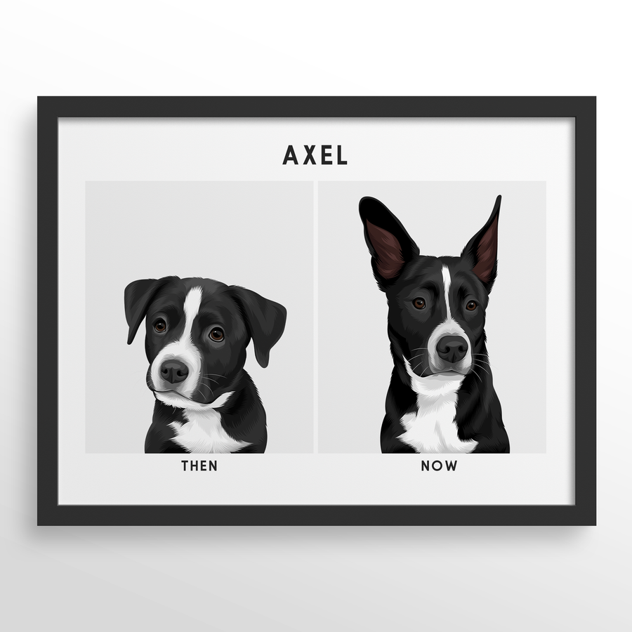 Retrato de mascota (Antes y Despues)