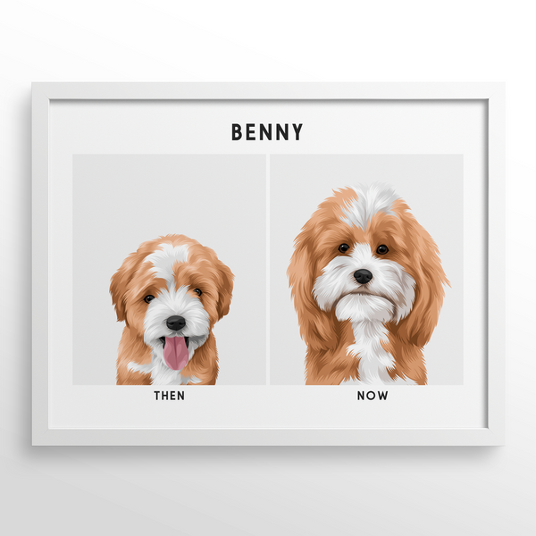 Retrato de mascota (Antes y Despues)
