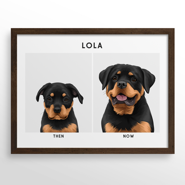 Retrato de mascota (Antes y Despues)