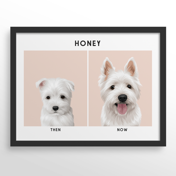 Retrato de mascota (Antes y Despues)