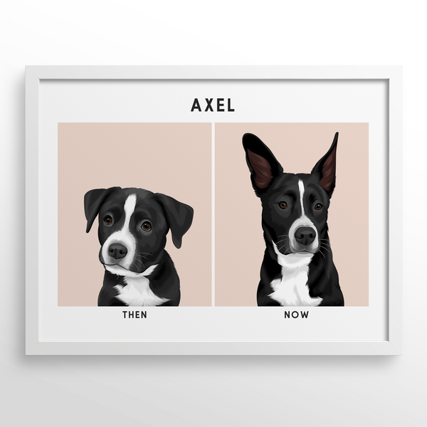 Retrato de mascota (Antes y Despues)