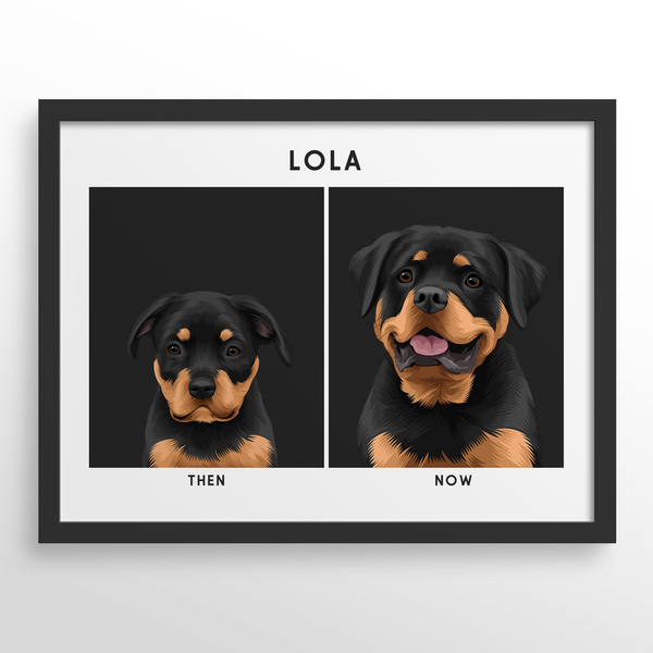 Retrato de mascota (Antes y Despues)