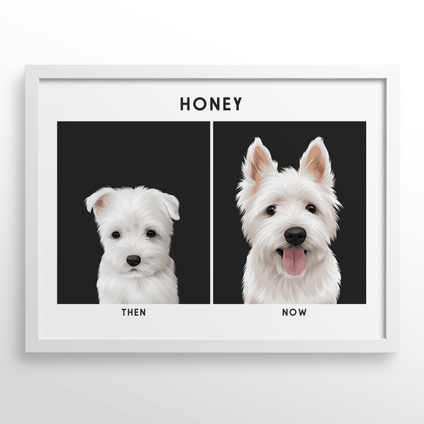 Retrato de mascota (Antes y Despues)