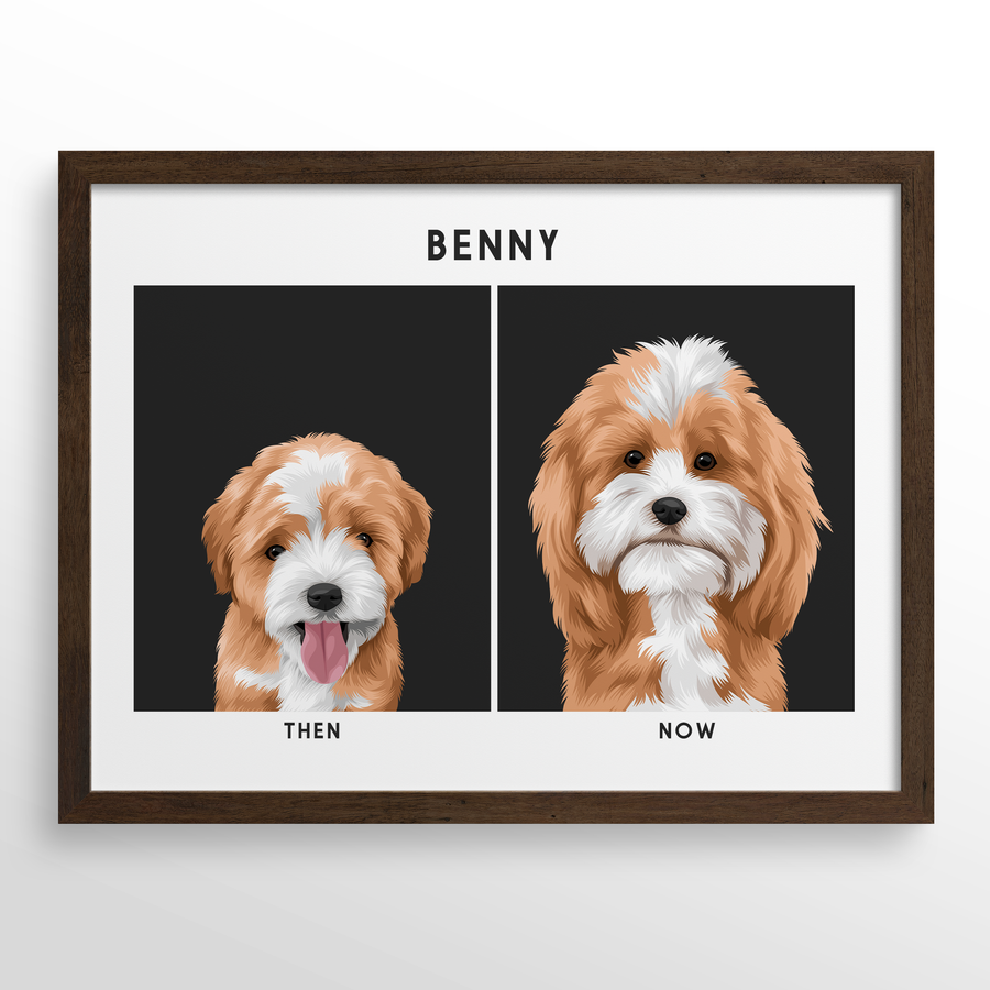 Retrato de mascota (Antes y Despues)
