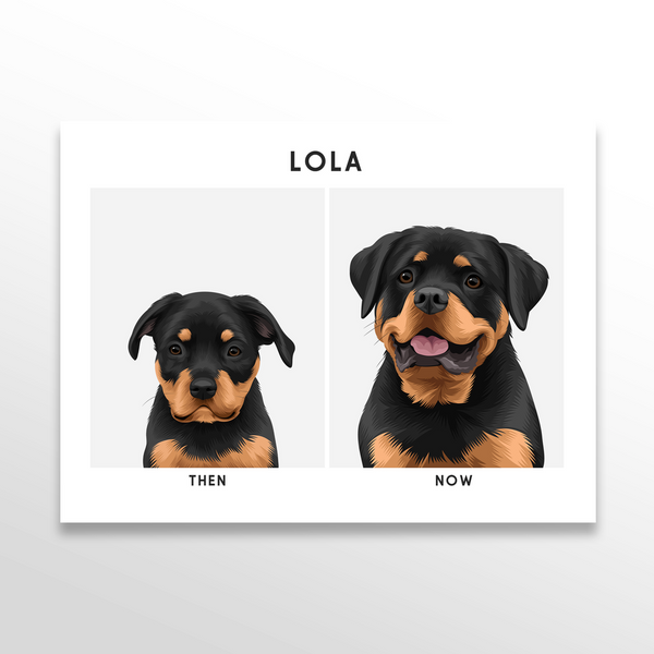 Retrato de mascota (Antes y Despues)