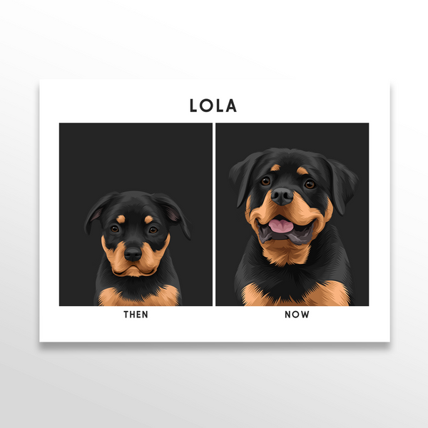 Retrato de mascota (Antes y Despues)