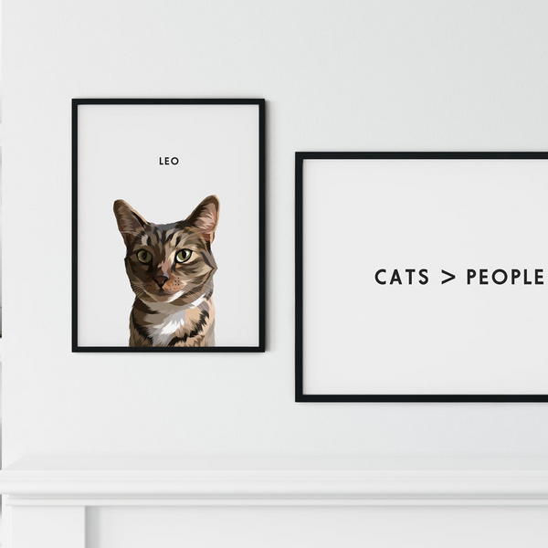 Gatos > Personas